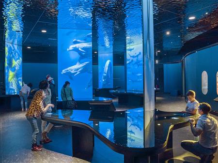 Aquarium cité de la mer