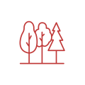 icone-foret