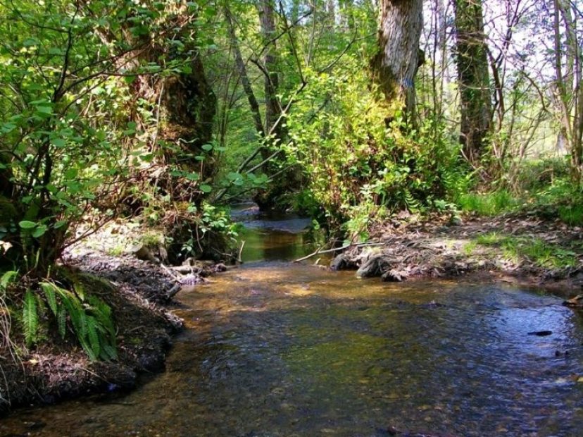 photo-636461819370368216-2